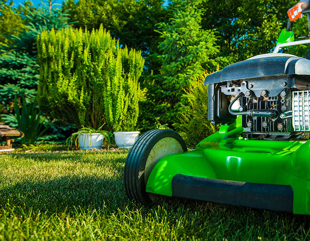 Five Benefits of Synthetic Turf Lawns