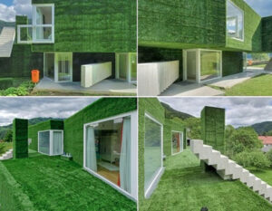 astroturf_house_01