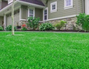 turf-no-weeds