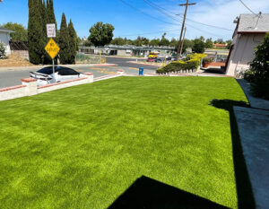 The Factors That Make Owning A Natural Lawn Expensive