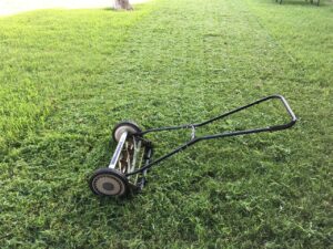 lawn-1812944_1280