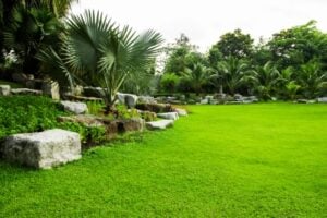 natural-lawns-1