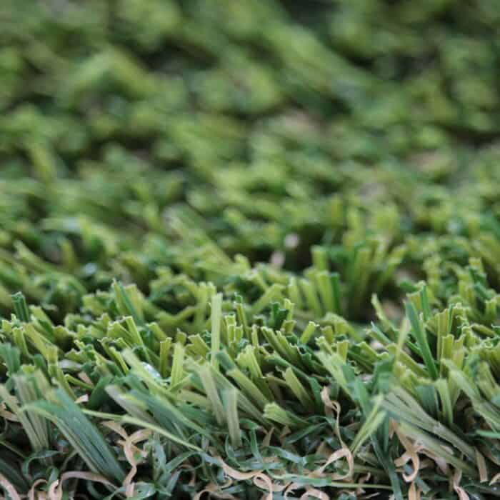 Coronado pet turf closeup, San Jose, CA