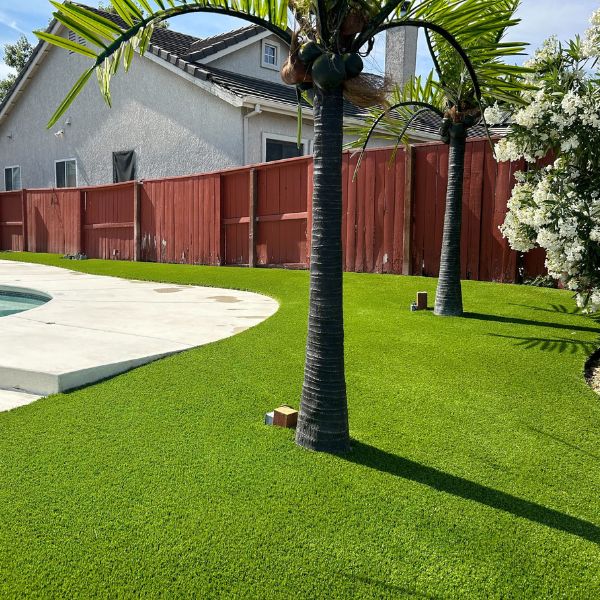 heavenly 70 backyard stockton ca
