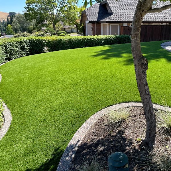 heavenly 70 front yard