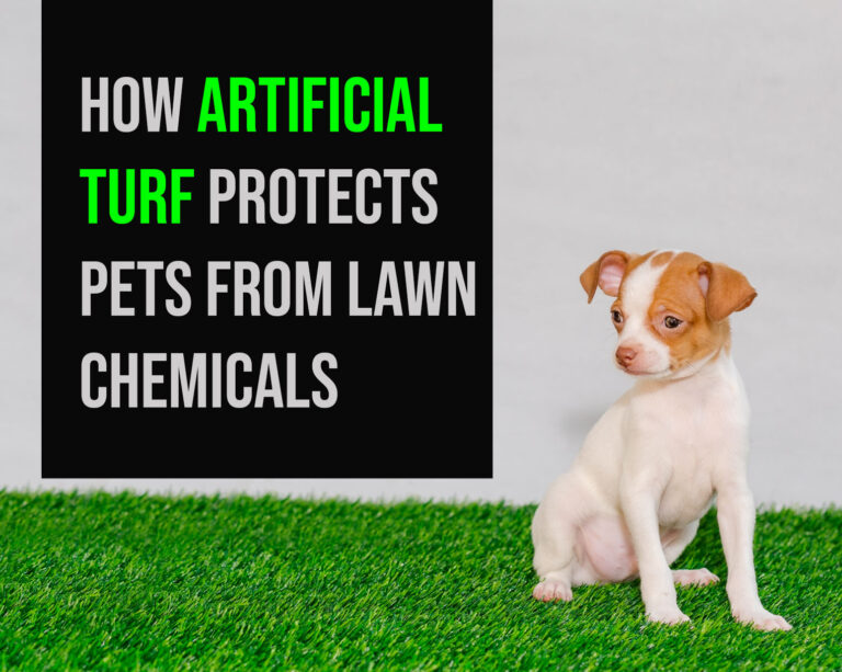 Picture Idea: Safe Yards For Pets The Best Artificial Turf Solution