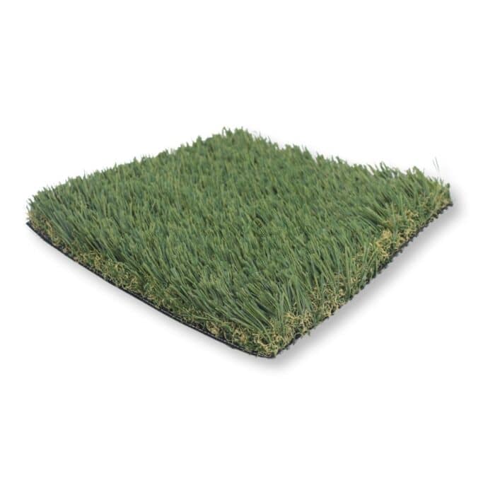 pacific fescue angle