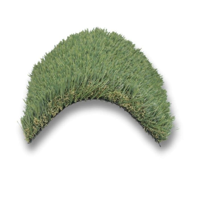 pacific fescue arch
