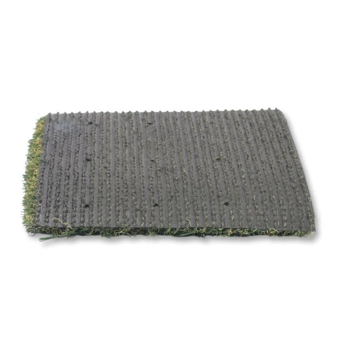 pacific fescue backing