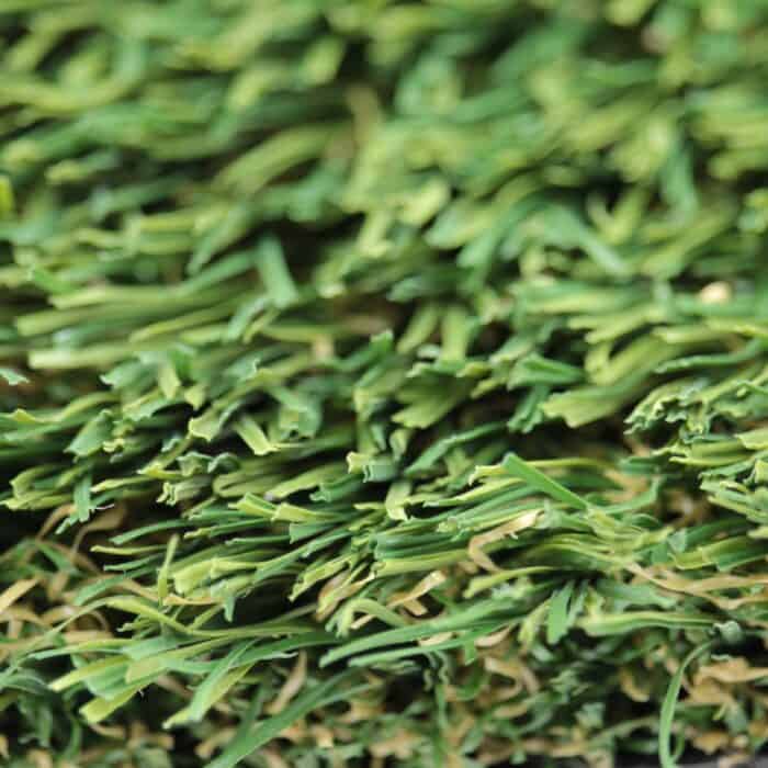 pacific fescue fiber closeup