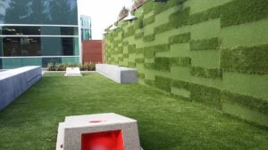 Wall