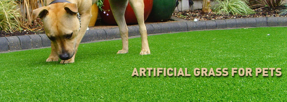artificial-grass-for-pets-san-jose-ca