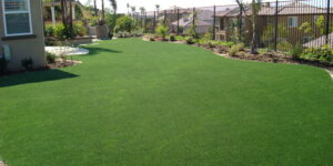 artificial-grass-san-jose-turf-900x450