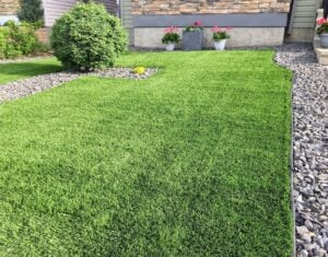 artificial-turf-for-yard-2