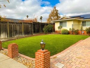 backyard-green-lawn-turf