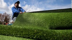drought-turf