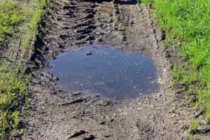 mud-453891_1920