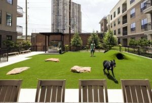 turf-dog-park-2
