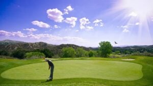 Home-Putting-Green