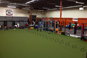 agility-turf-1