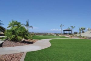 artificial-lawn-putting-green-1