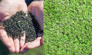 artificial-turf-crumb-rubber-in-fill