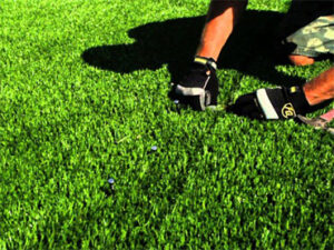 blog_pic_1