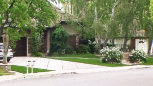 homeowners-turning-to-artificial-turf-lawns