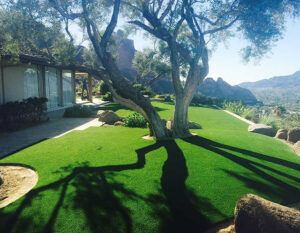 paradise-valley-artificial-grass