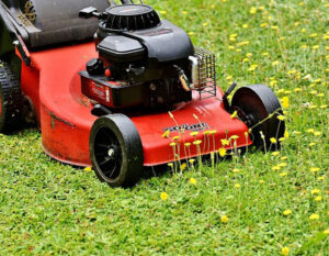 synthetic-grass-eliminates-chores