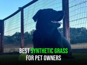 Best Synthetic Grass for Pet Owners- ATE