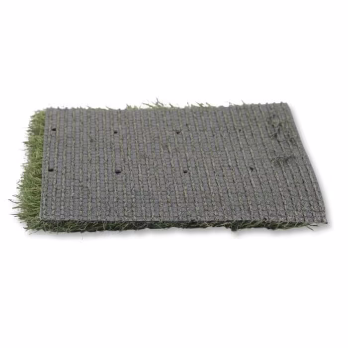 summer rye backing