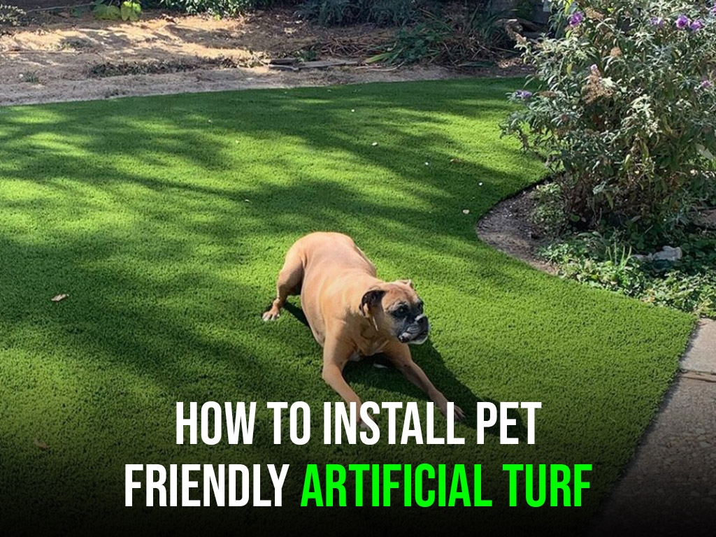 How-to-Install-Pet-Friendly-Artificial-Turf-ArtificialTurfExpress-1-1024x1024