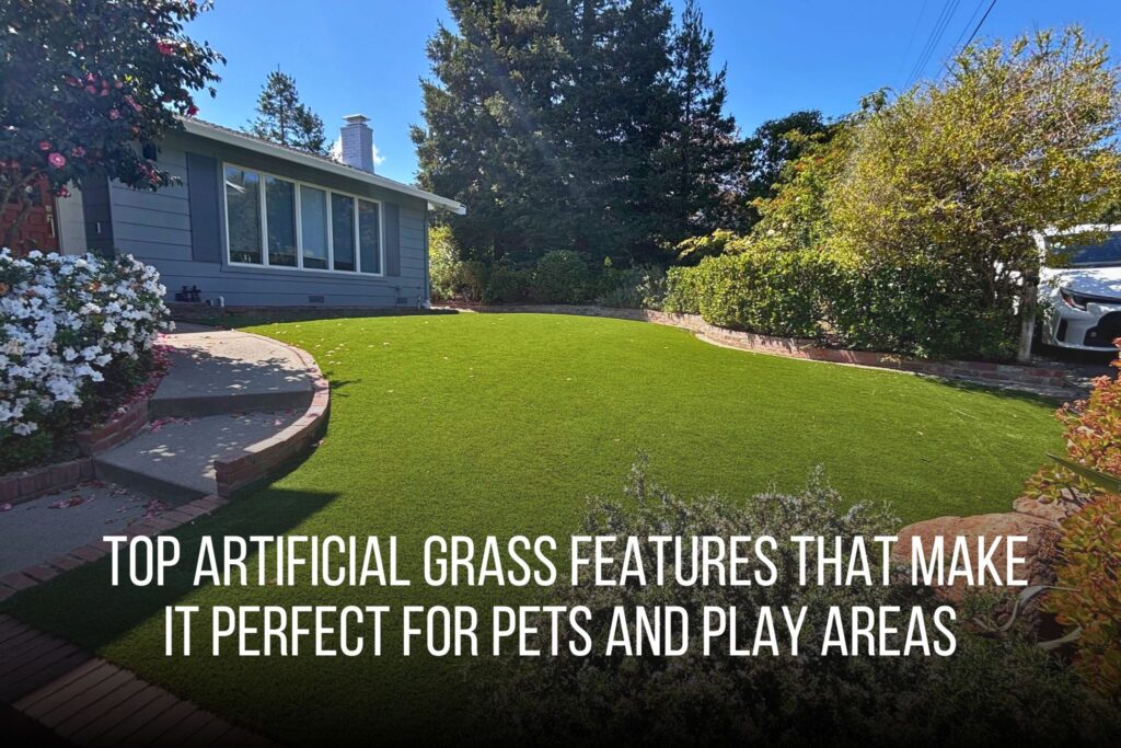Artificial grass lawn in San Jose, CA.