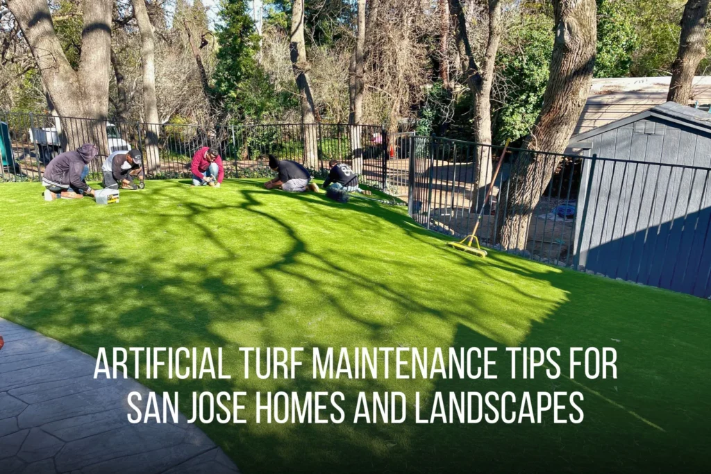 artificial turf maintenance