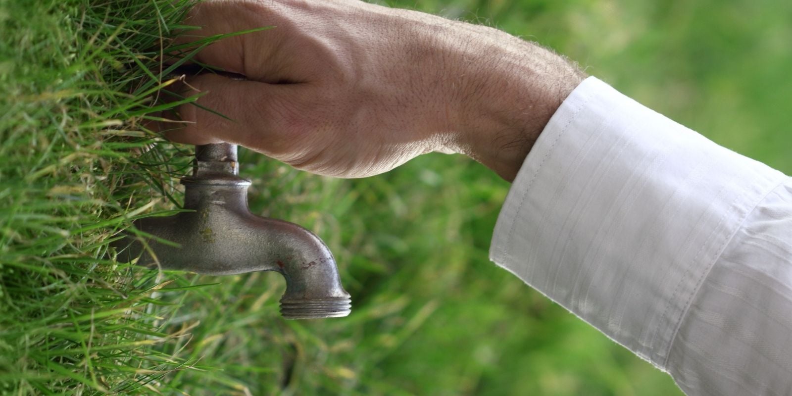 Close-up of a person turning an outdoor water faucet hidden in green grass on a lawn. Hand turning a faucet in grass