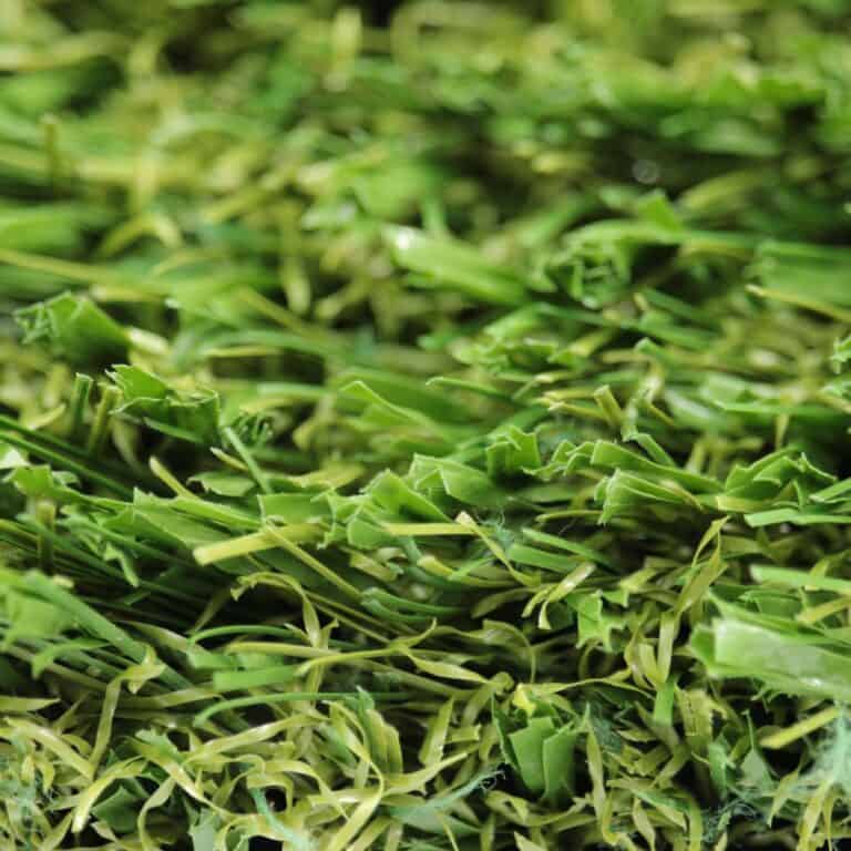 Close-up of Maxx Play artificial turf