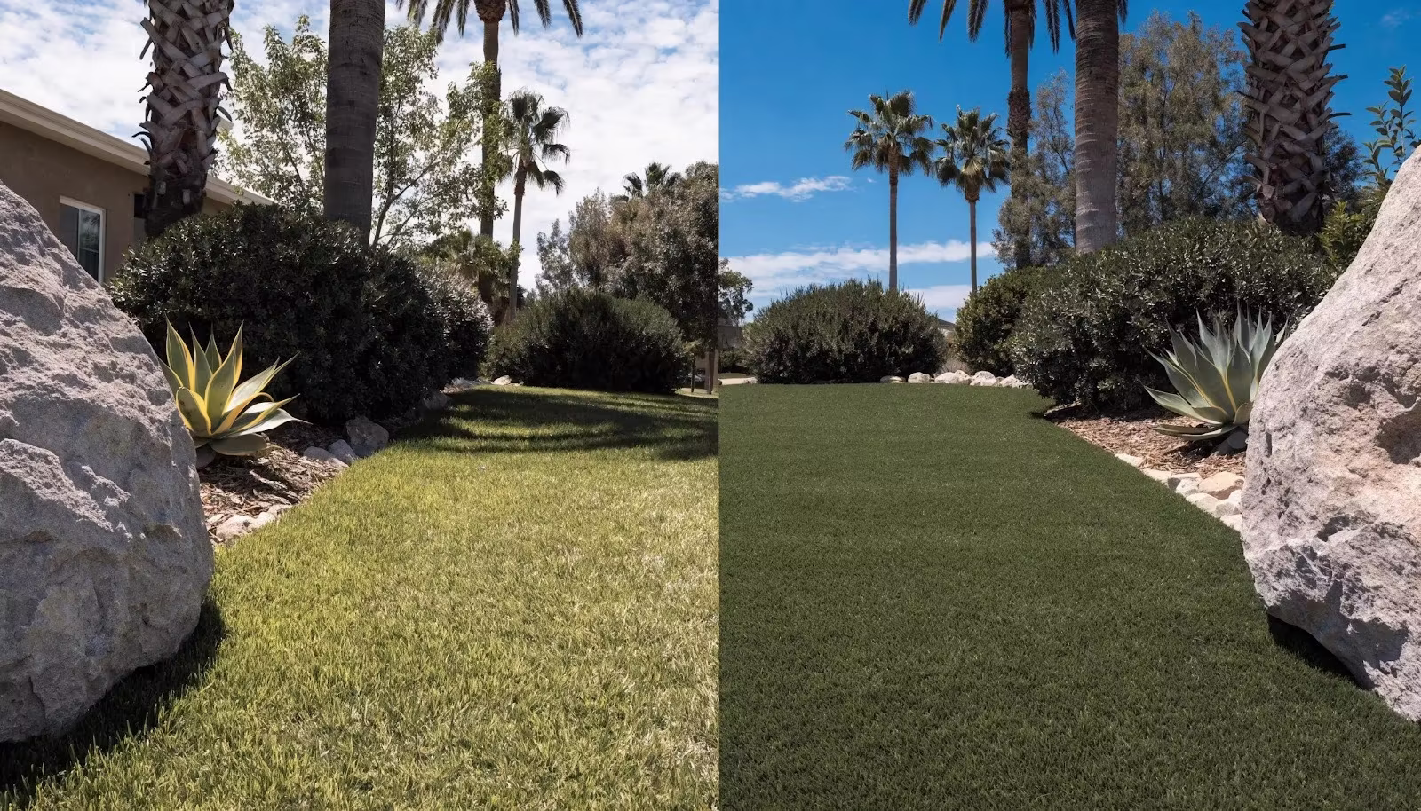 artificial turf